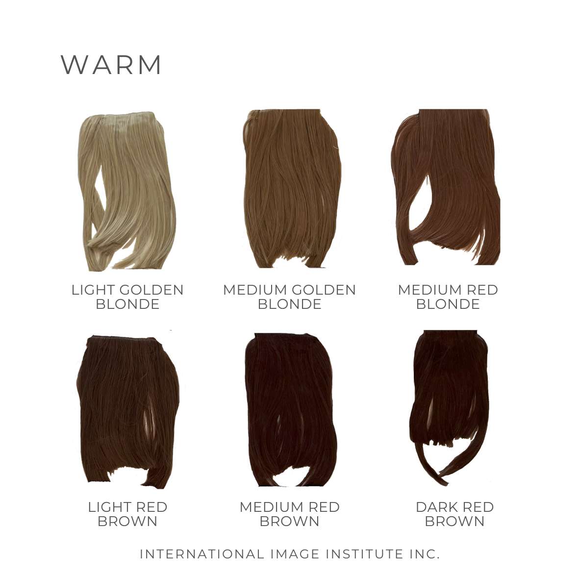 This photo shows our warm hair bangs in our hair bang kit. They are used in colour analysis to show what hair colours suit someone with a warm undertone. It includes light golden brown, medium golden brown, medium red blonde, light red brown, medium red brown and dark red brown hair bangs.