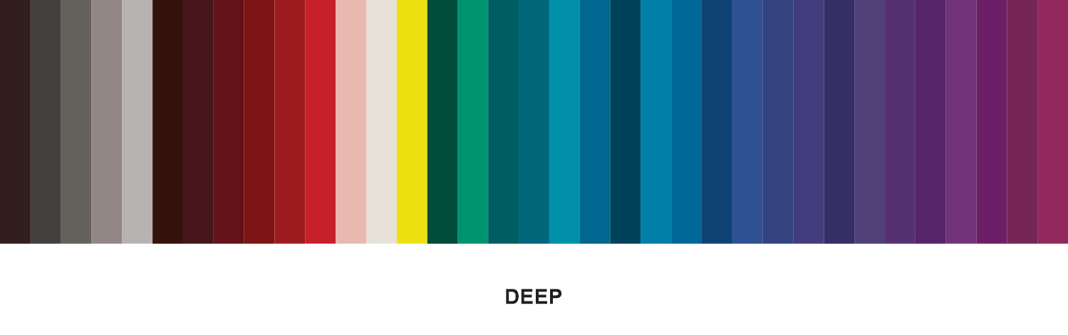 Deep Palette Assessor – International Image Institute