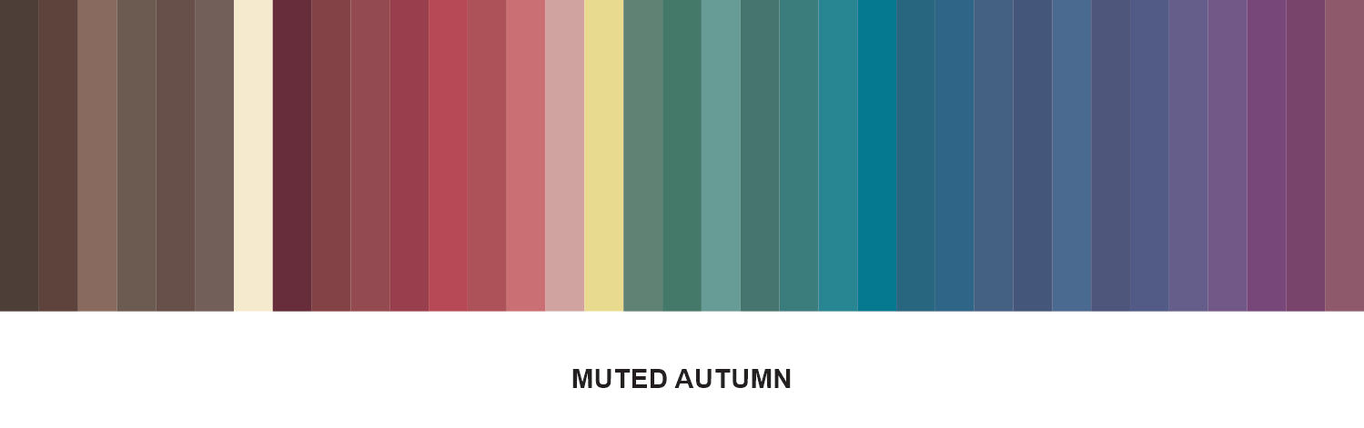 Muted Fall Design Muted Autumn Palette Assessor – International Image Institute