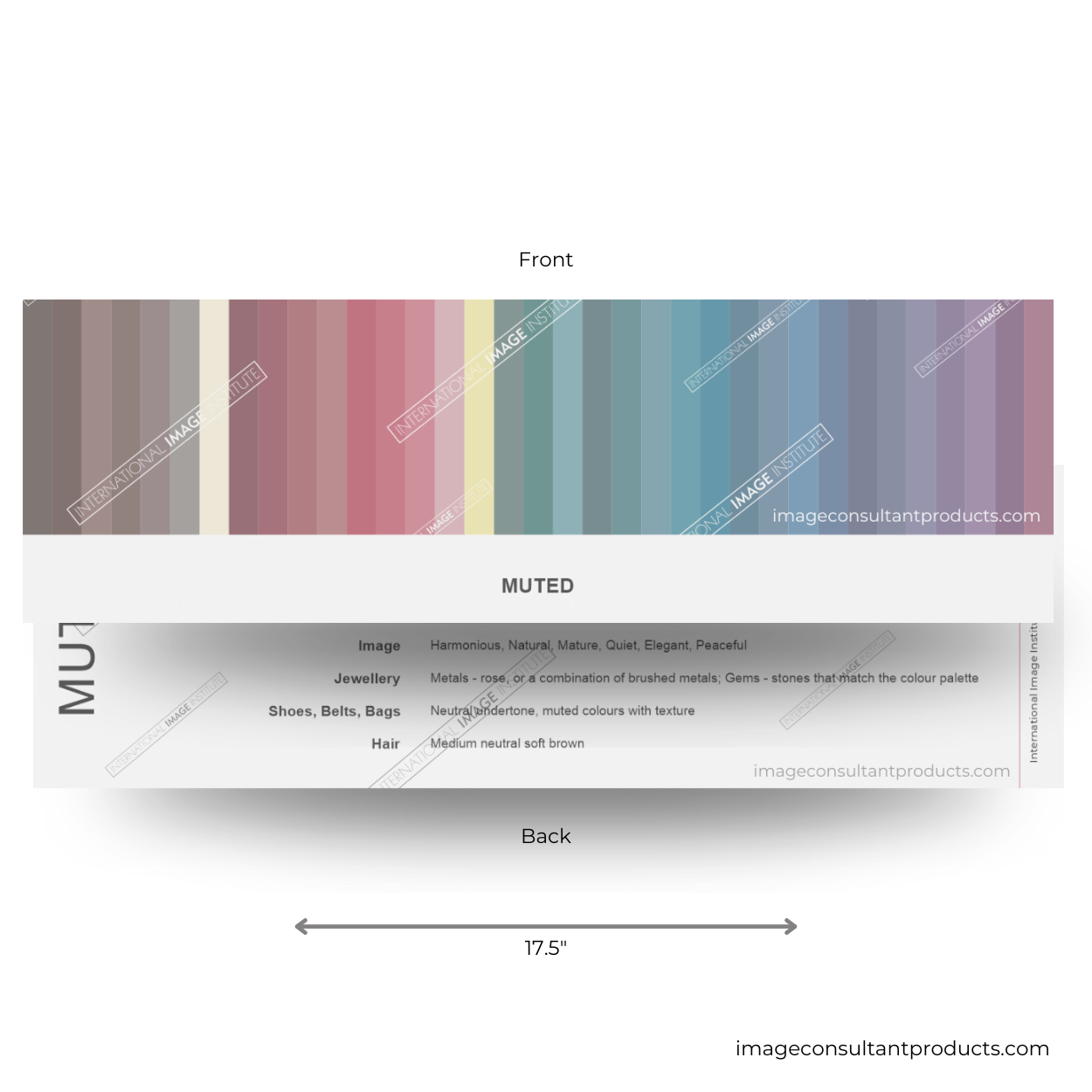 Muted Color Palette – International Image Institute